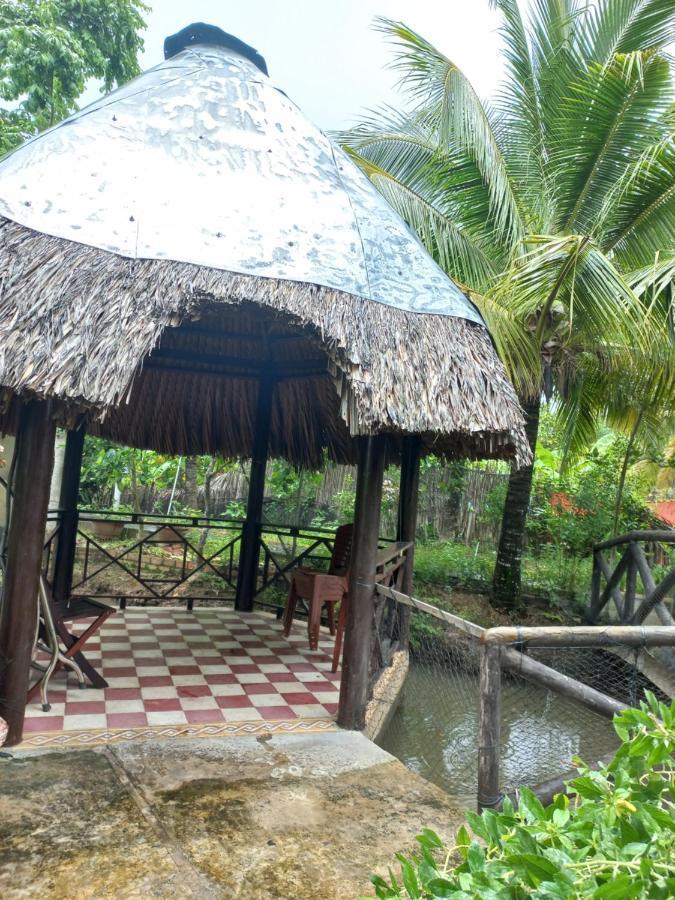 Ngoc Phuong Homestay Vĩnh Long エクステリア 写真