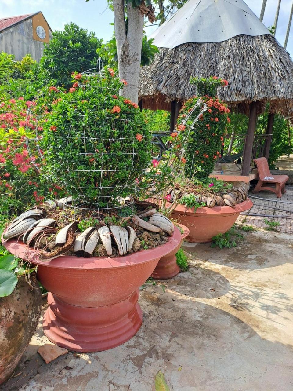 Ngoc Phuong Homestay Vĩnh Long エクステリア 写真